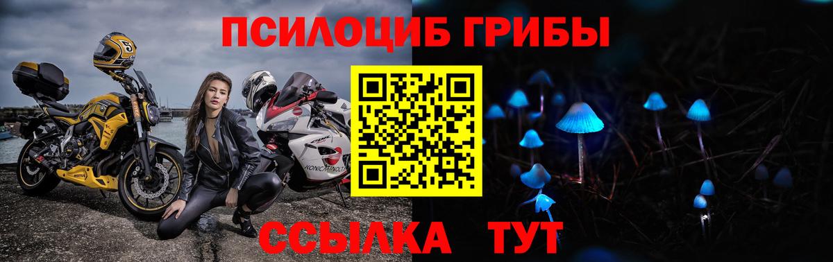 Ялуторовск  Галлюциногенные грибы GOLDEN TEACHER  Галлюциногенные грибы GOLDEN TEACHER  Вход с VPN 